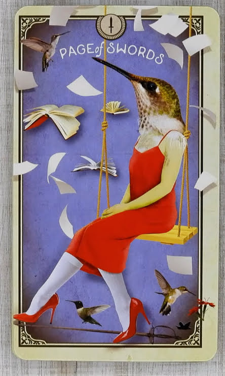 Tarot of Curious Creatures